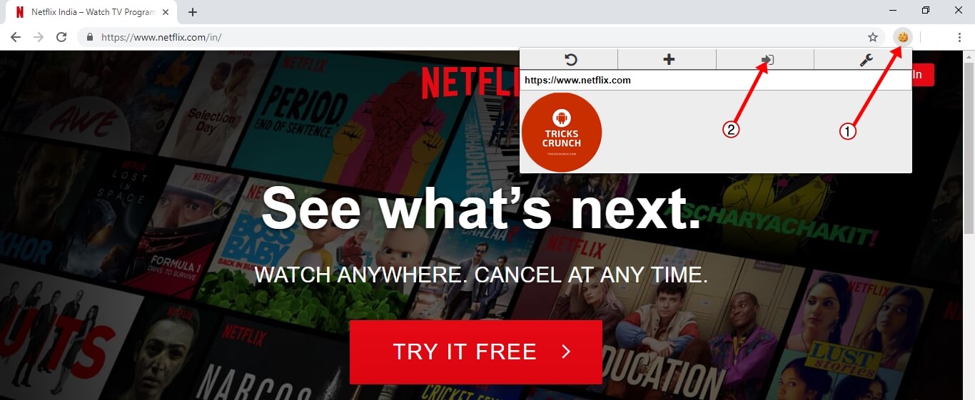 Como obter Netflix grátis com truque de Cookies 2024 ⋆ 2aVIA